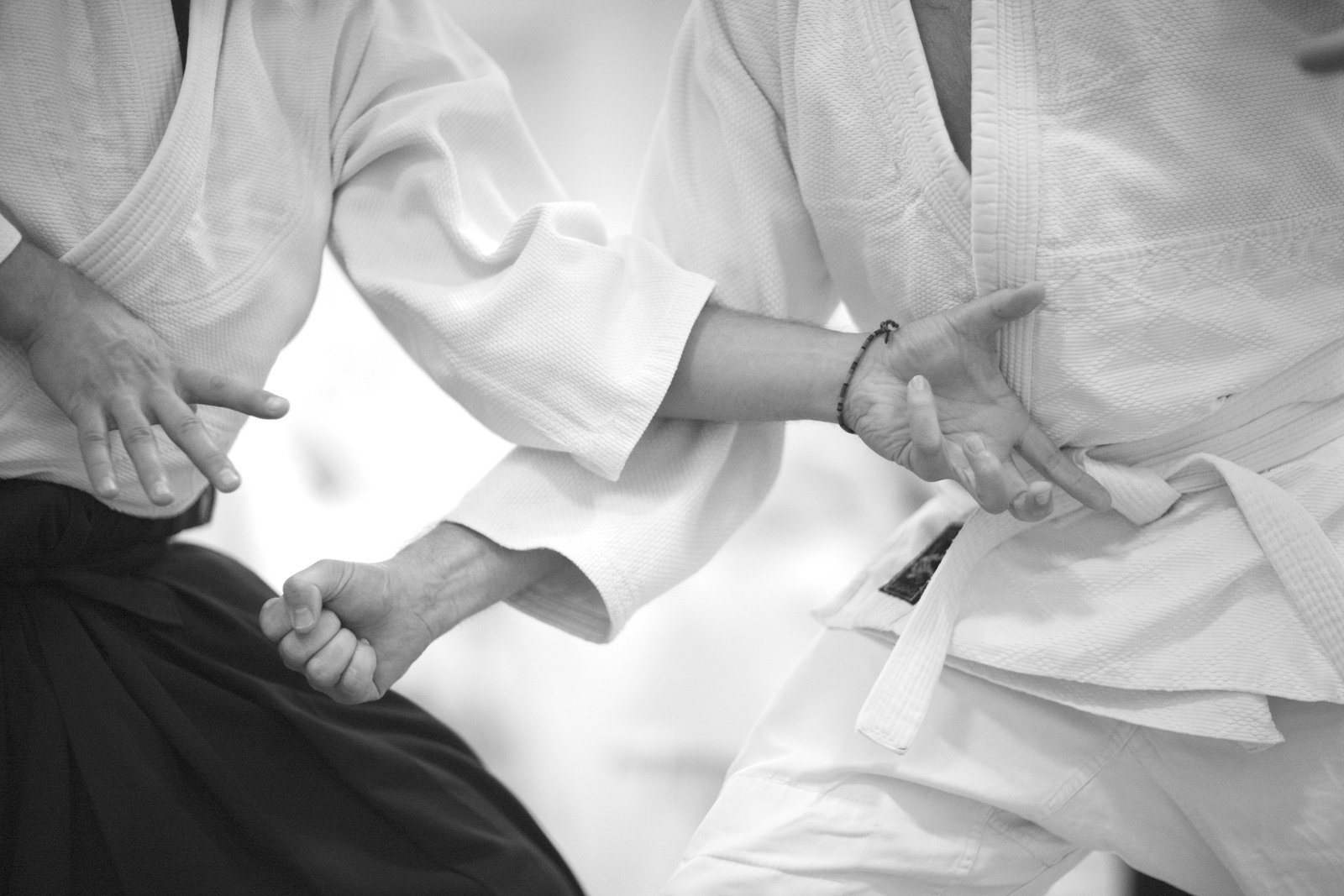 Aikido Training